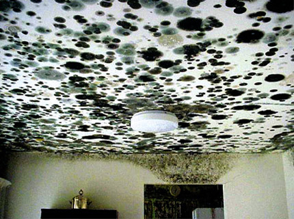 Eco Pro Restoration business image in Pikesville, MD
